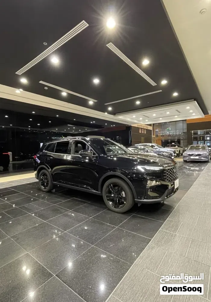 Ford Territory 2025 photo 3