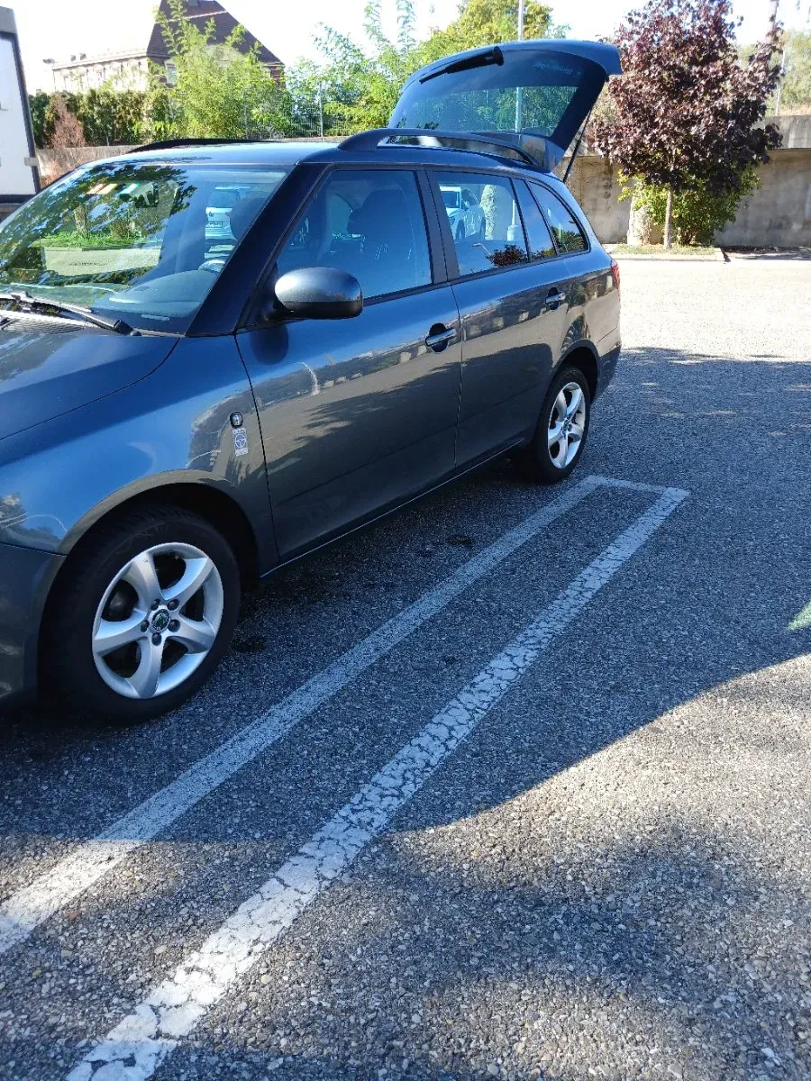 Skoda Fabia 2014 photo 3