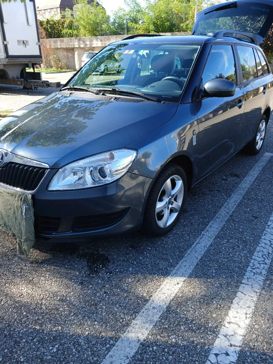 Skoda Fabia 2014 photo 2