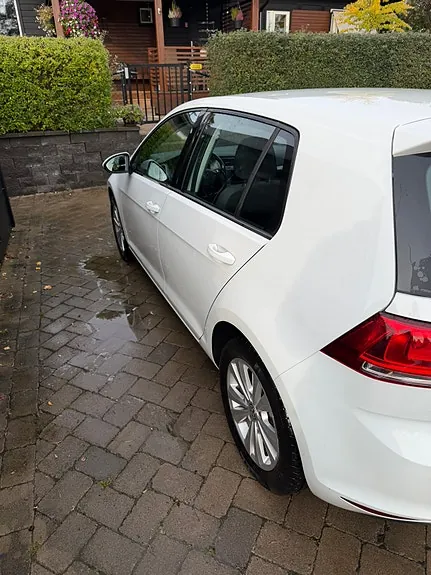 Volkswagen Golf Vii 2017 photo 4