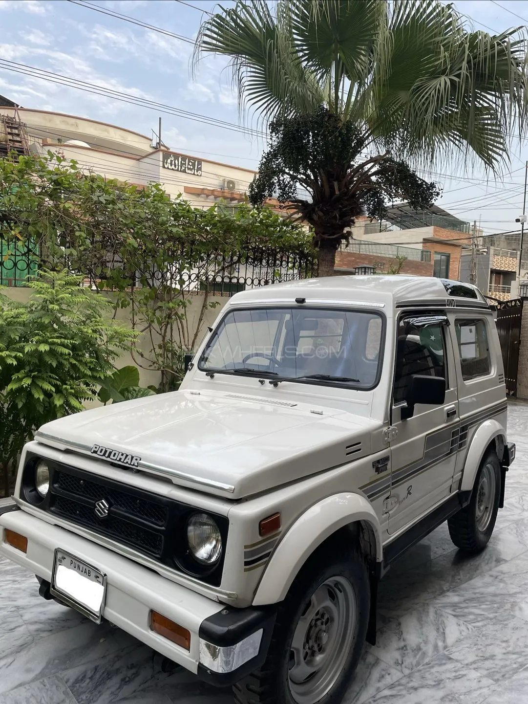 Suzuki Potohar