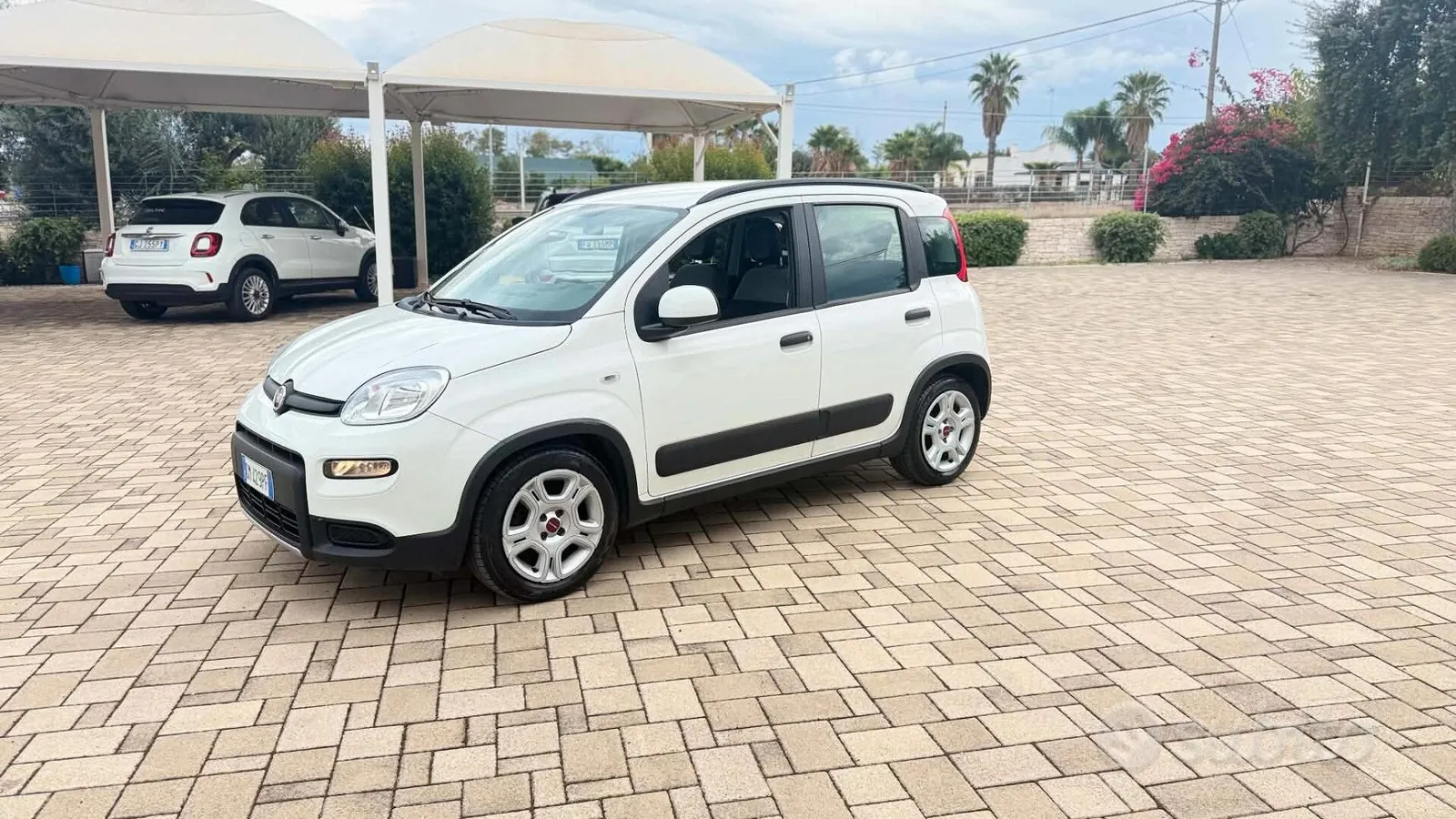 Fiat Panda 2023 photo 2