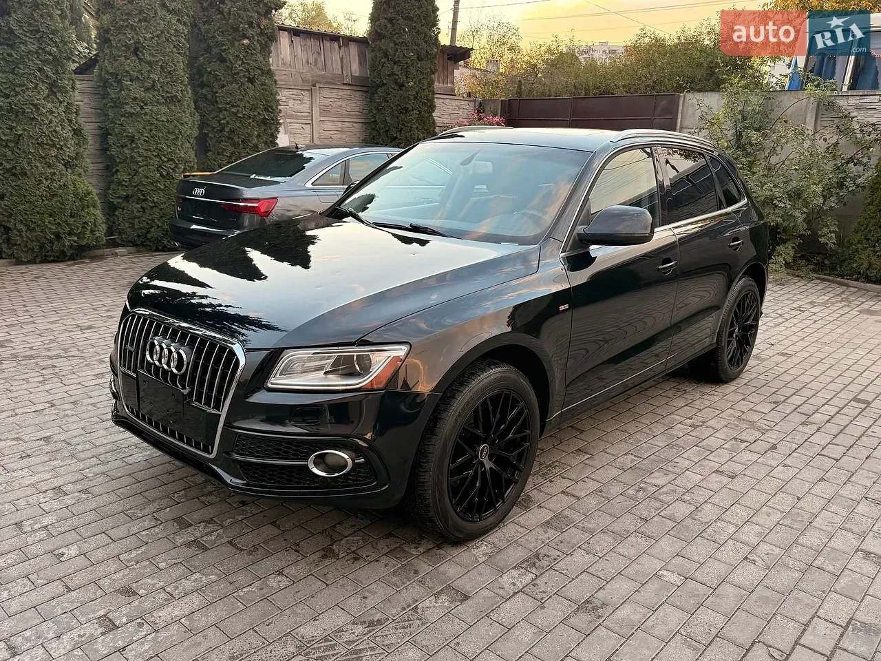 Audi Q5 2014 photo 2