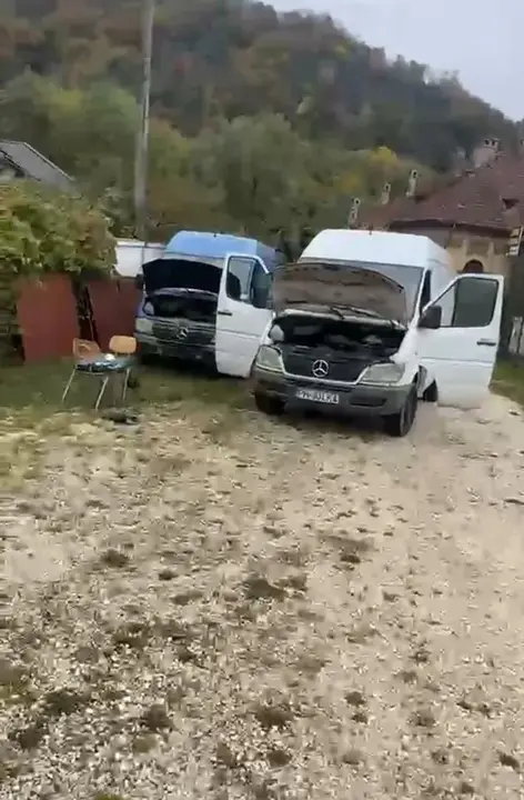 Mercedes-Benz Sprinter 313