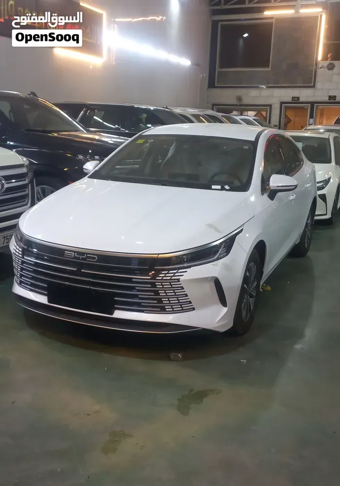 BYD Destroyer 5 2026 photo 2