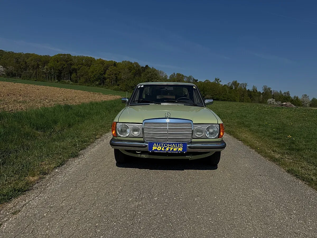 Mercedes-Benz 230 1978 photo 2