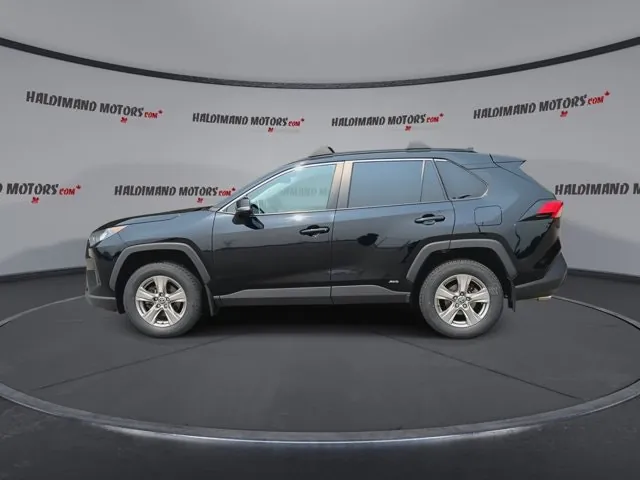 Toyota Rav4 2023 photo 5