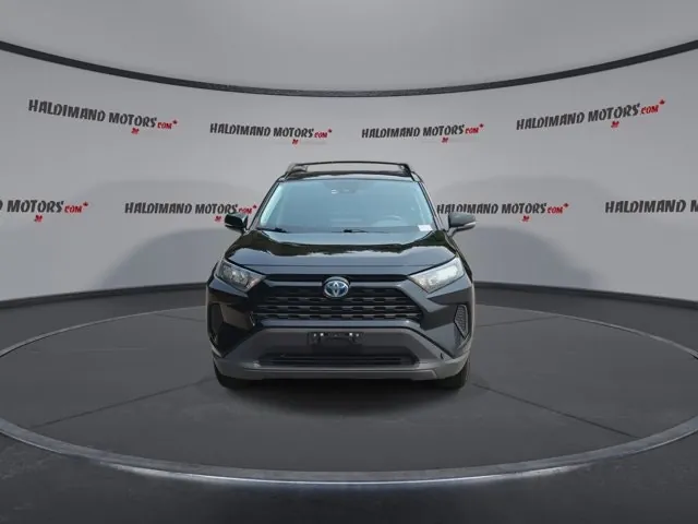 Toyota Rav4 2023 photo 3