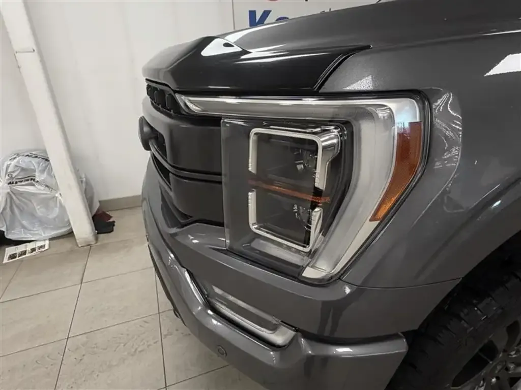 Ford F-150 2022 photo 3