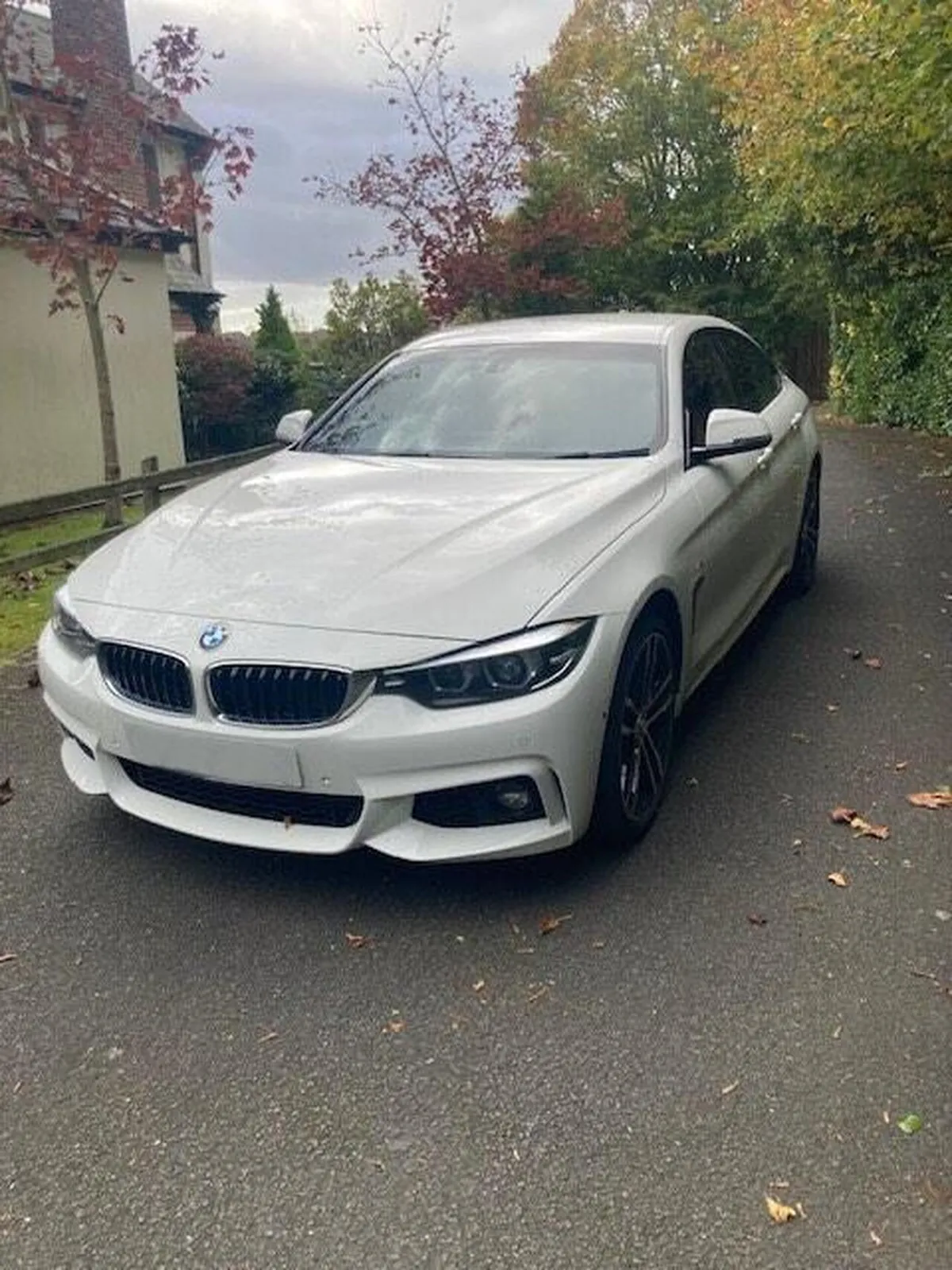 BMW 4 Series Gran Coupe 2019 photo 2