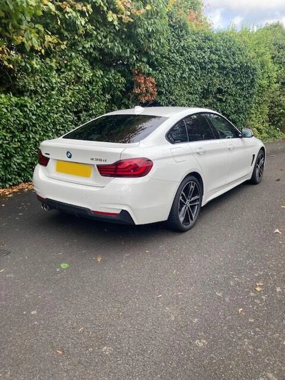 BMW 4 Series Gran Coupe 2019 photo 3