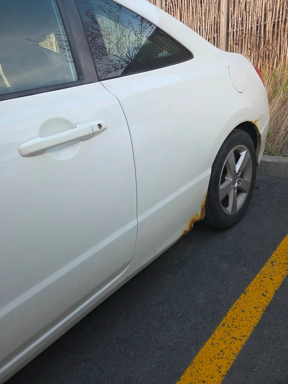 Honda Civic 2009 photo 4