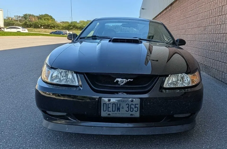 Ford Mustang 2003 photo 3