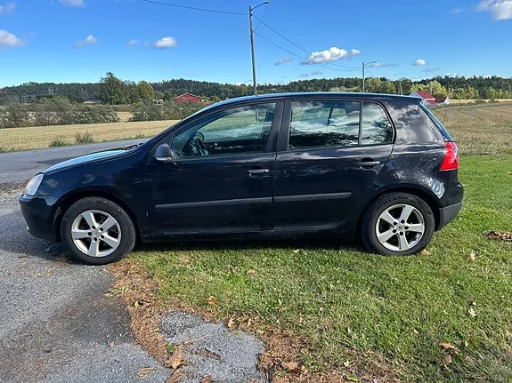 Volkswagen Golf V 2007 photo 4