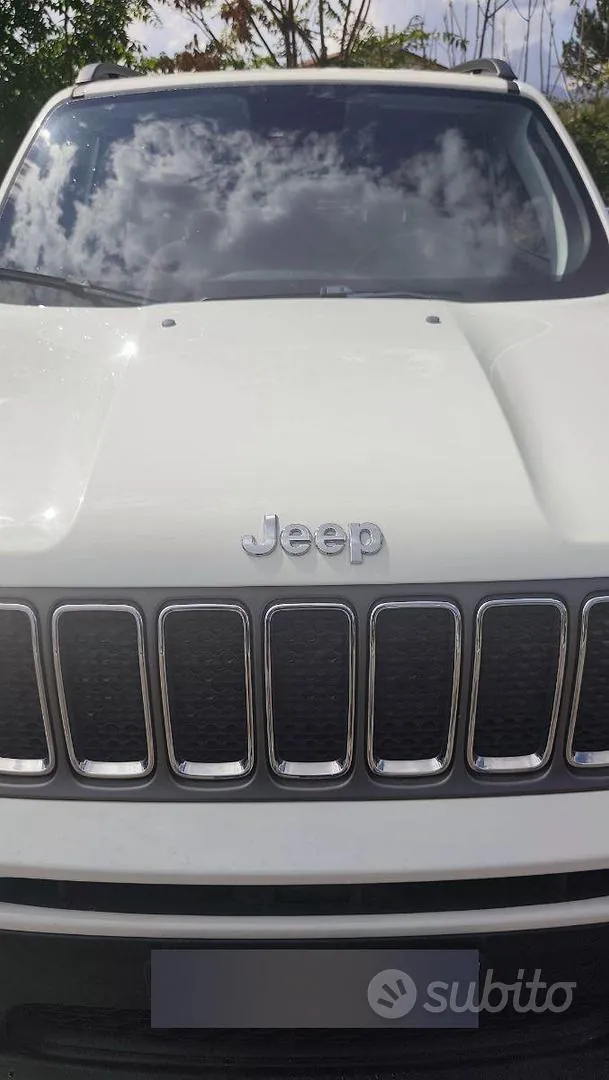 Jeep Renegade 2019 photo 2
