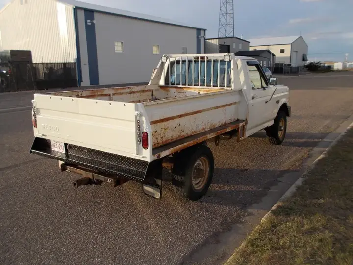Ford F250 1995 photo 3
