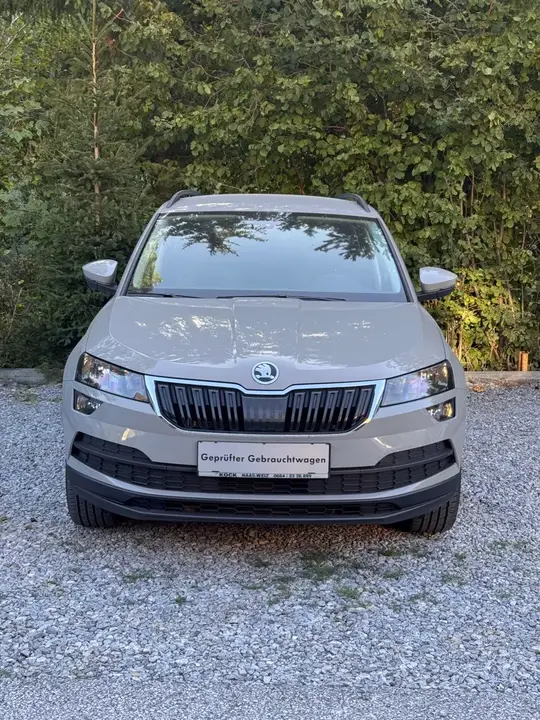 Skoda Karoq 2021 photo 2