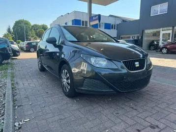Seat Ibiza 2011 photo 2