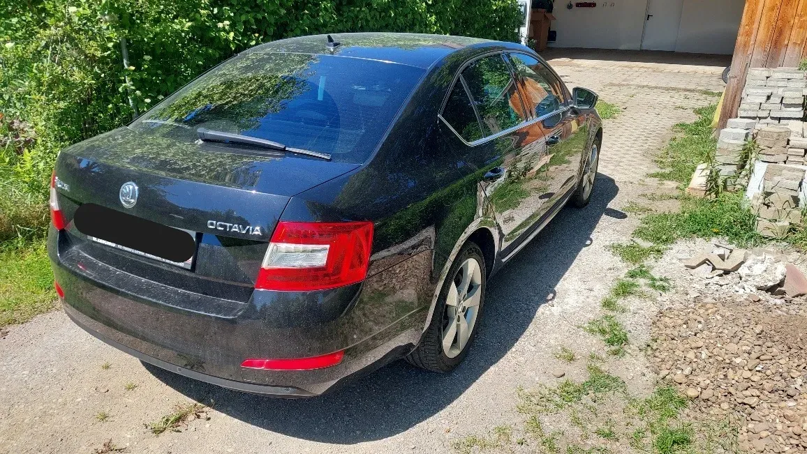 Skoda Octavia 2013 photo 3