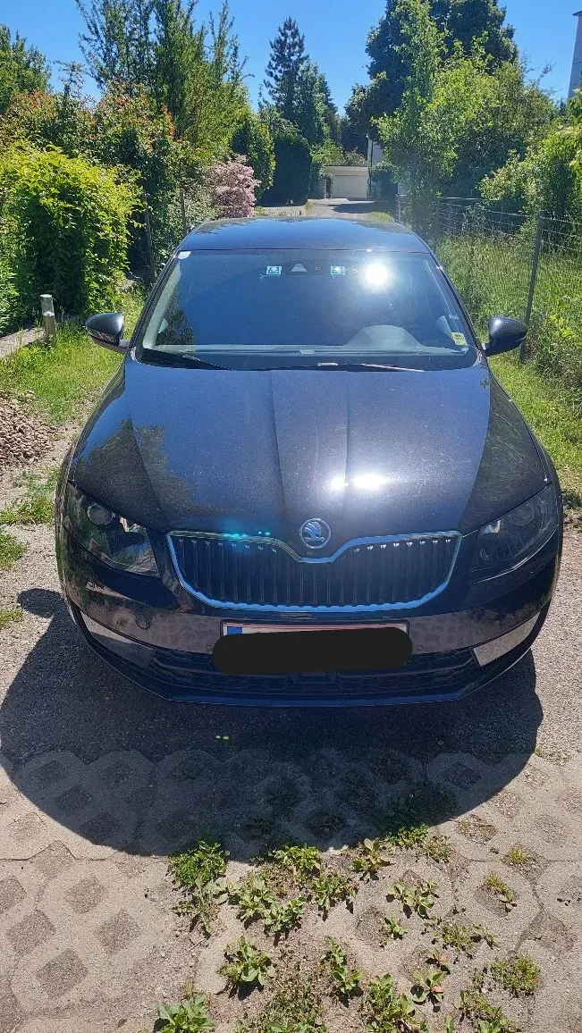 Skoda Octavia 2013 photo 2