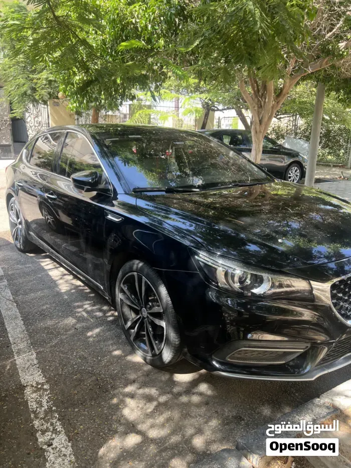 MG Mg 6