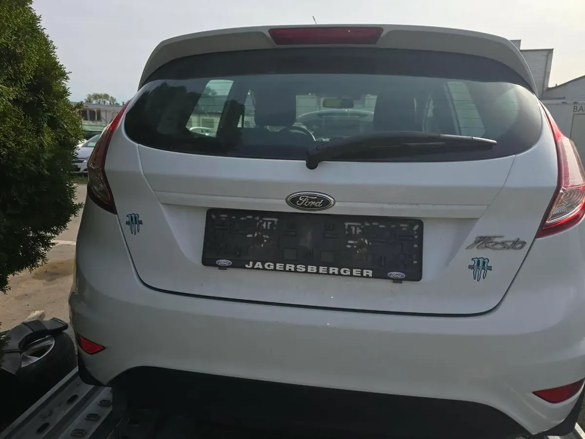 Ford Fiesta 2016 photo 2