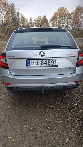 Skoda Octavia 2020 photo 5