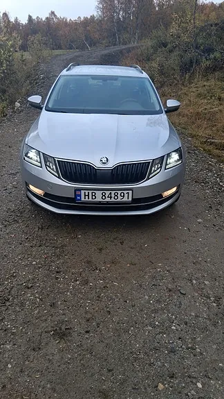 Skoda Octavia 2020 photo 2