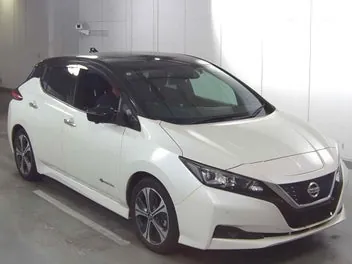 Nissan Leaf 2020 photo 2