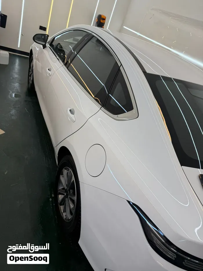 BYD Destroyer 5 2025 photo 4