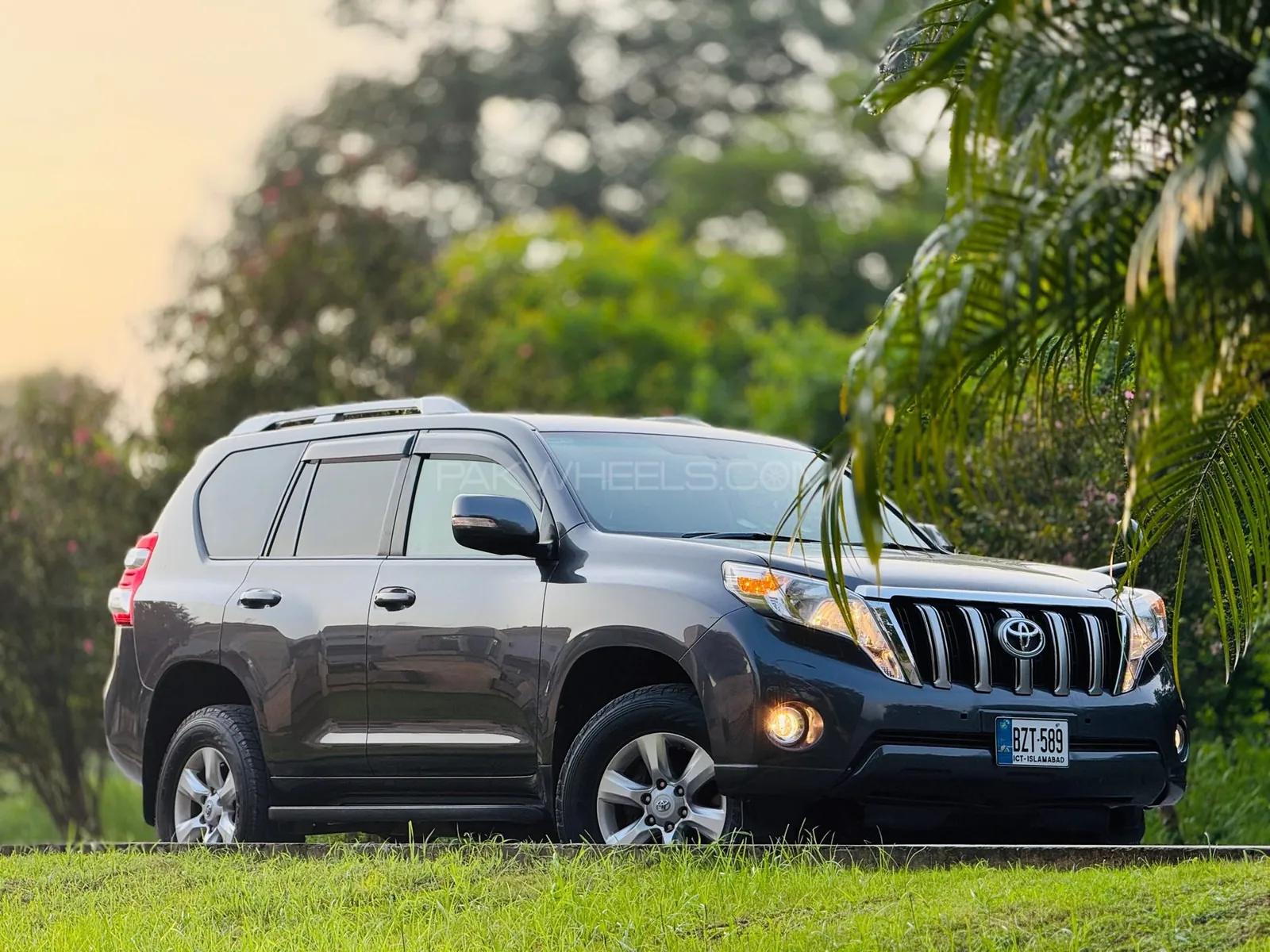 Toyota Prado