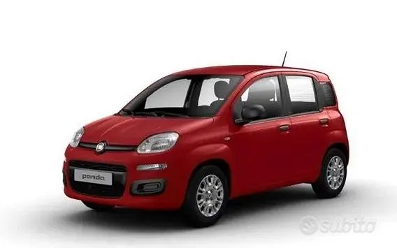 Fiat Panda 2024 photo 2