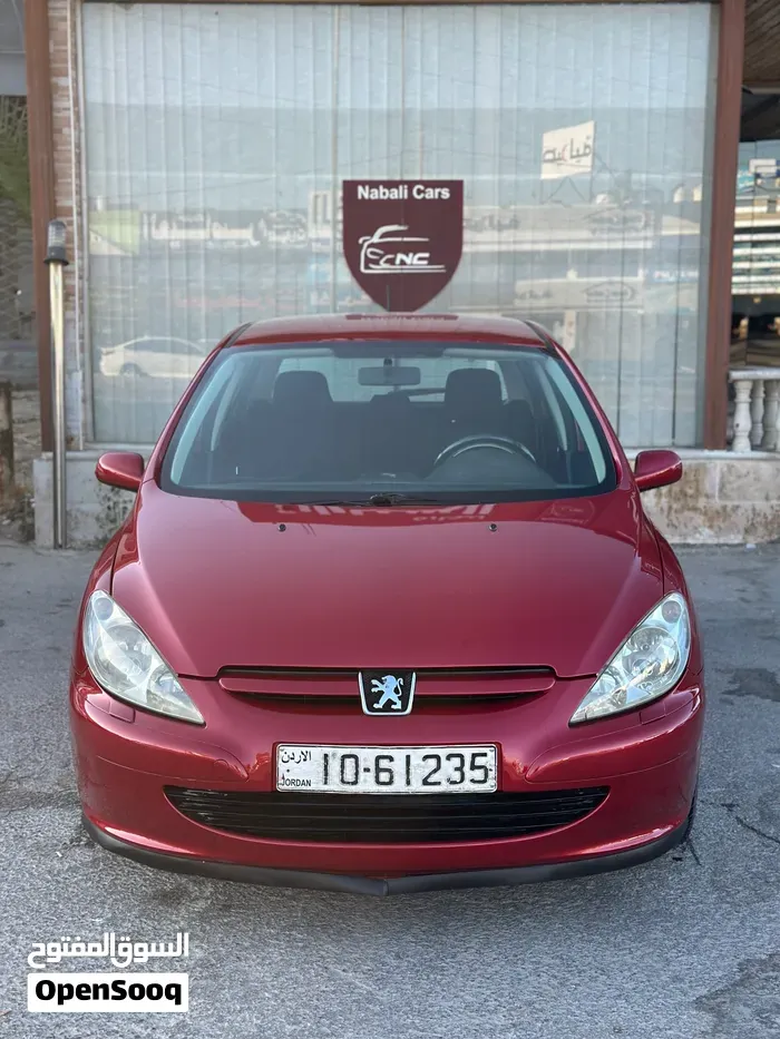 Peugeot 307 2004 photo 2