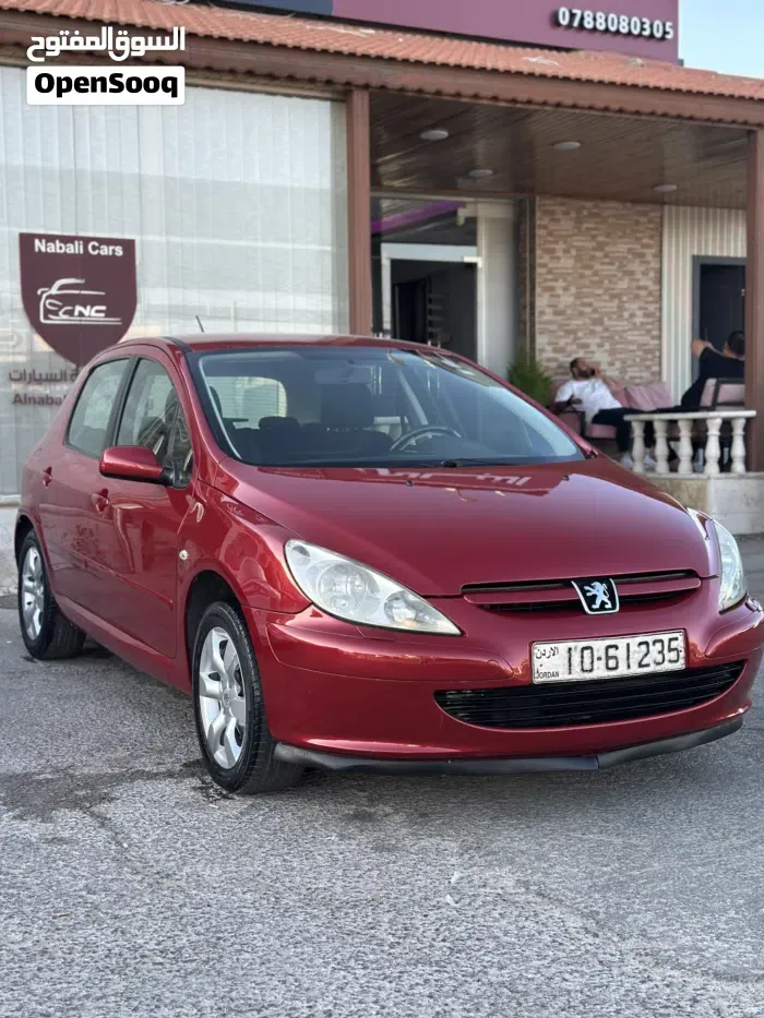 Peugeot 307 2004 photo 3