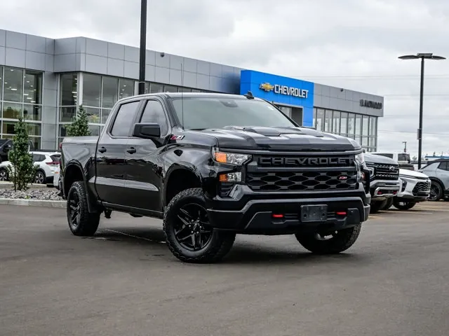 Chevrolet Silverado 1500 2024 photo 2