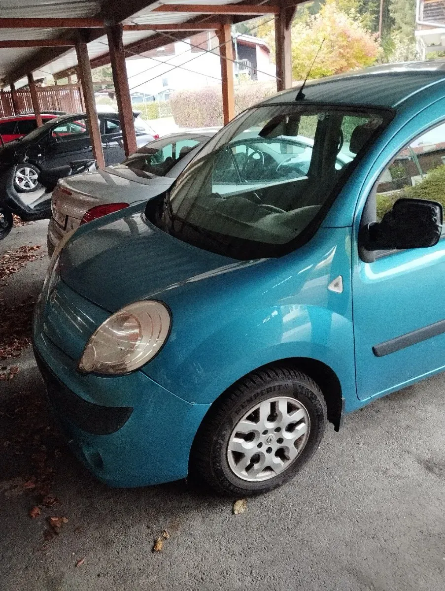 Renault Kangoo 2008 photo 2