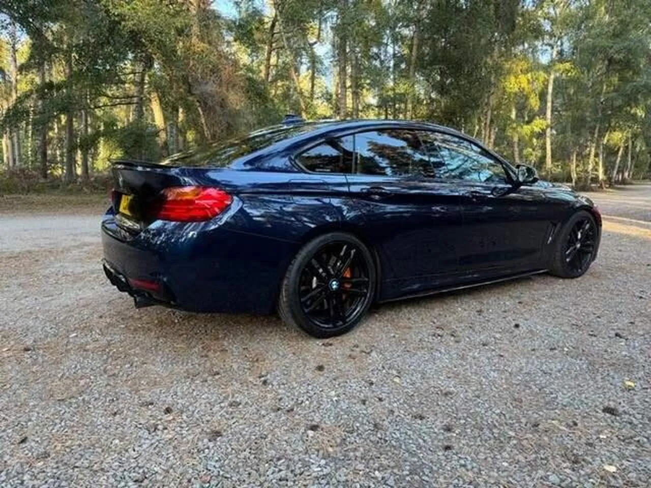 BMW 4 Series Gran Coupe 2017 photo 3
