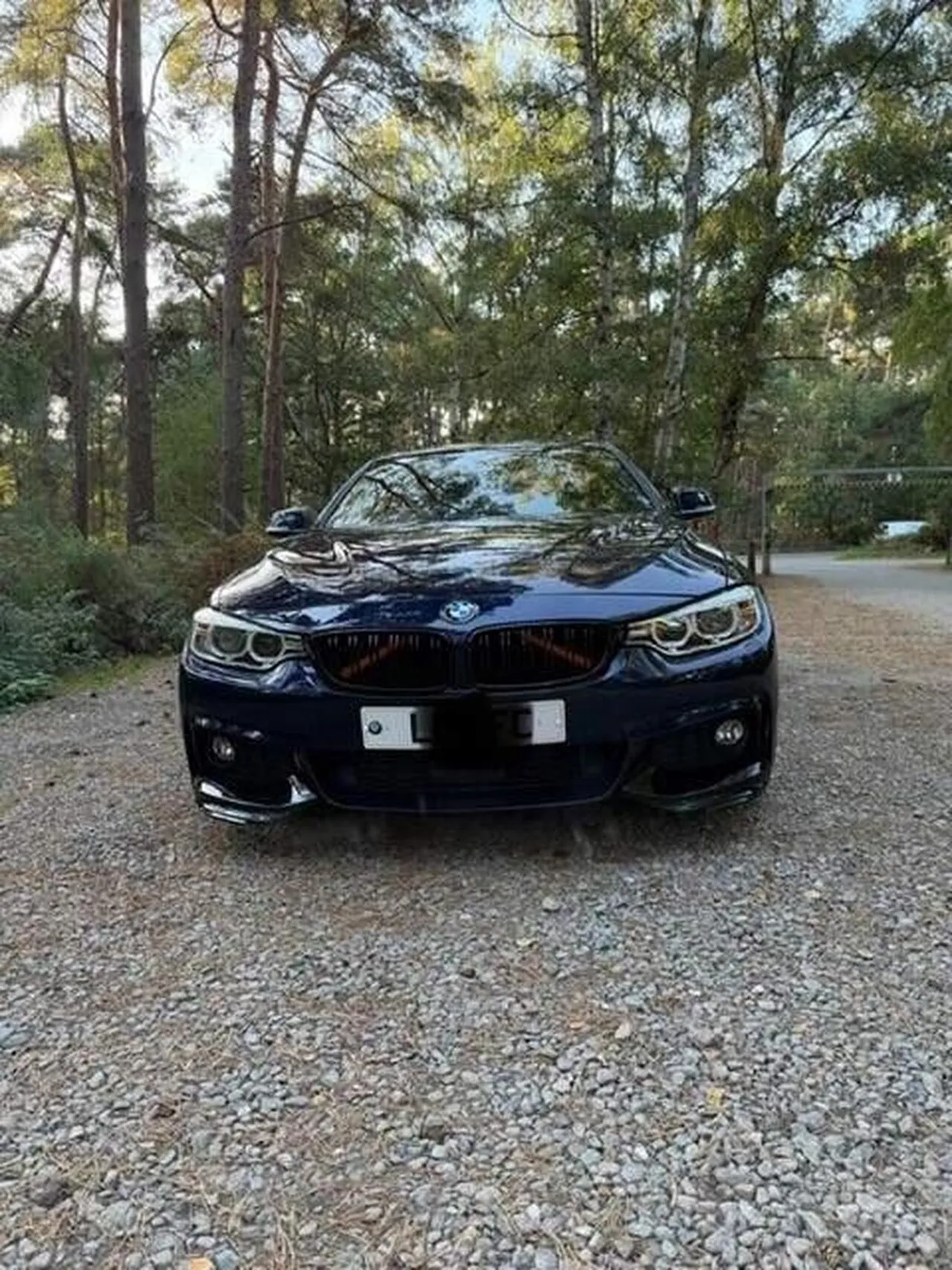 BMW 4 Series Gran Coupe 2017 photo 5