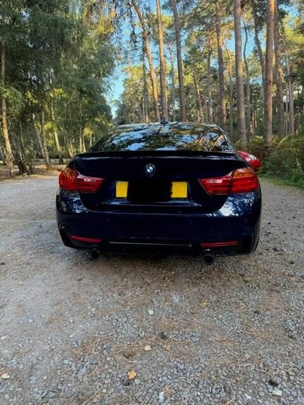 BMW 4 Series Gran Coupe 2017 photo 4