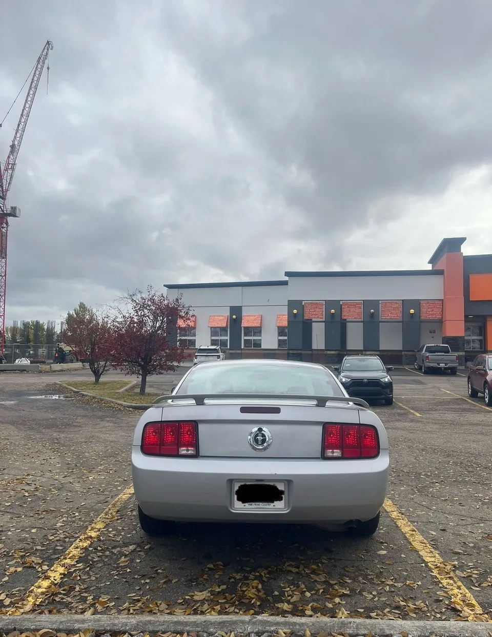 Ford Mustang 2005 photo 3