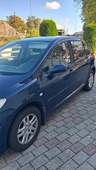 Peugeot 307 2006 photo 5