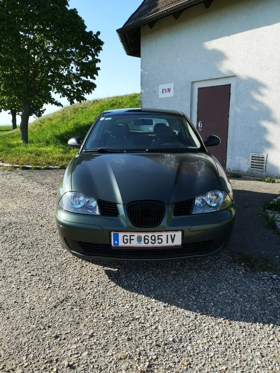 Seat Ibiza 2002 photo 2