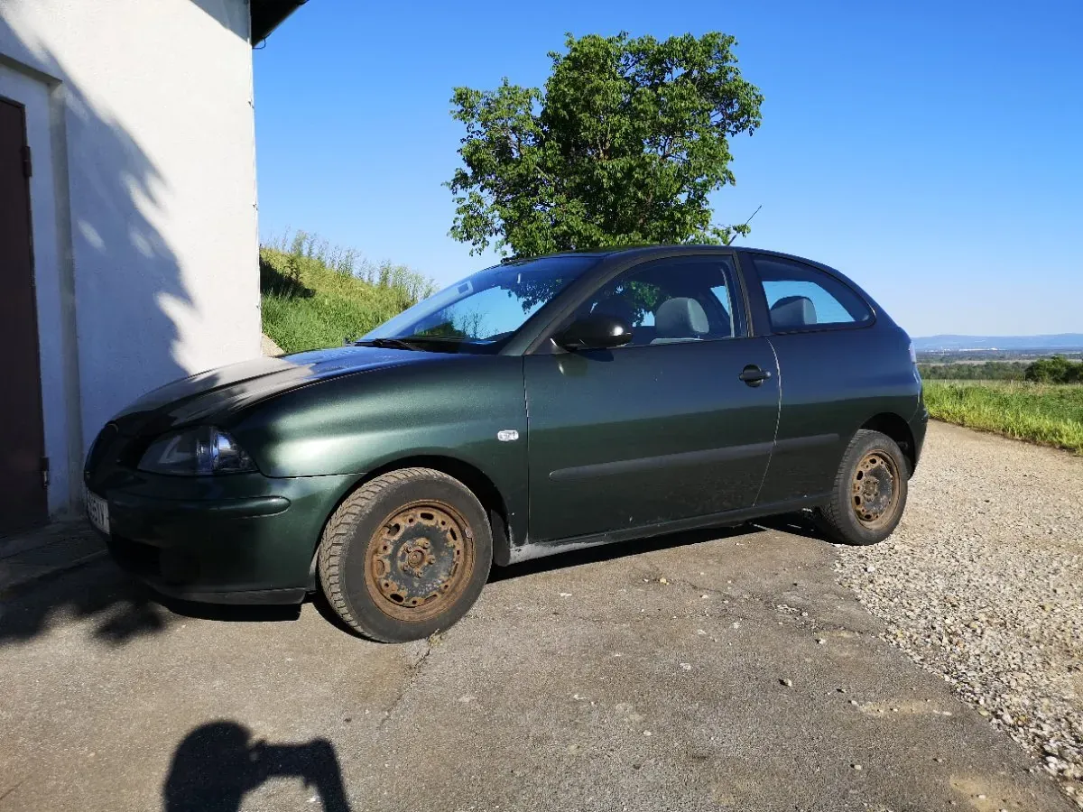Seat Ibiza 2002 photo 3