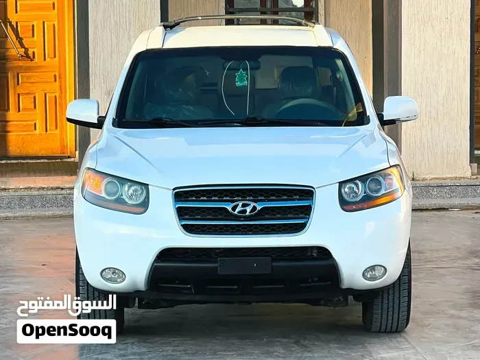 Hyundai Santa Fe 2009 photo 3