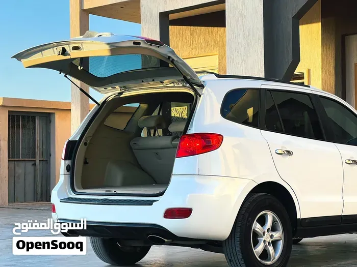 Hyundai Santa Fe 2009 photo 4