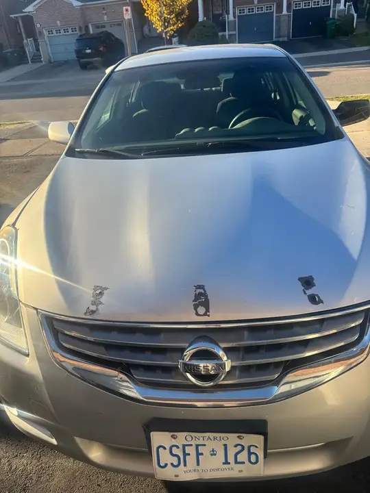 Nissan Altima 2010 photo 4