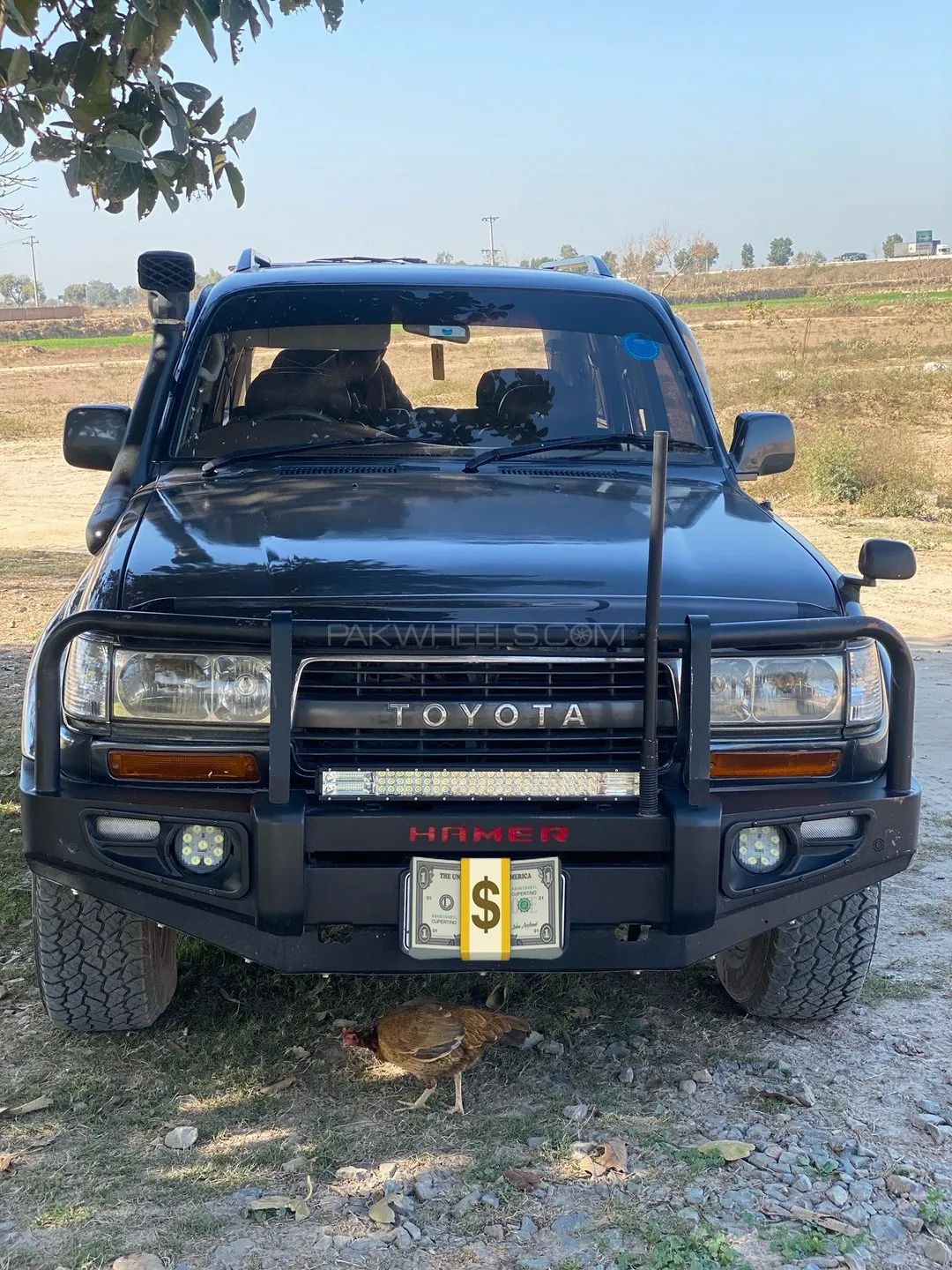 Toyota Land Cruiser