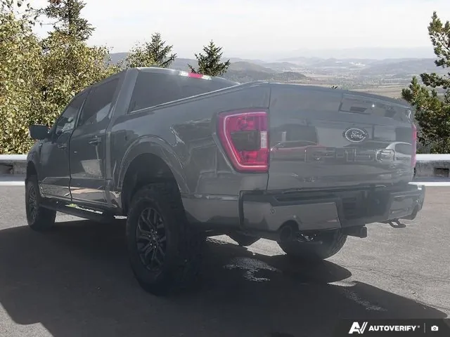 Ford F-150 2023 photo 4
