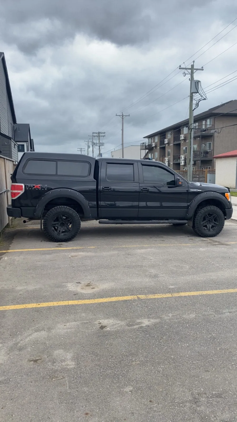 Ford F-150 2009 photo 2