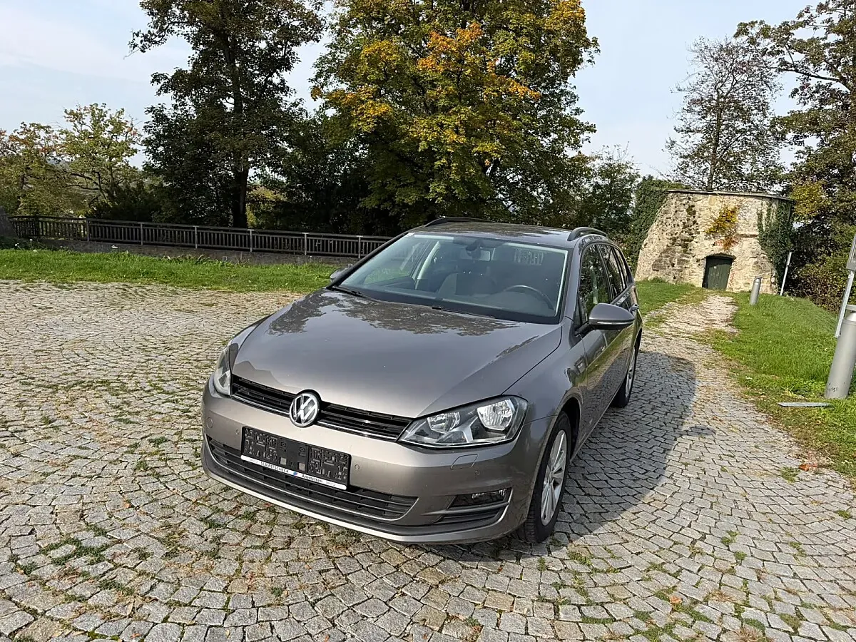 Volkswagen Golf Variant 2015 photo 2
